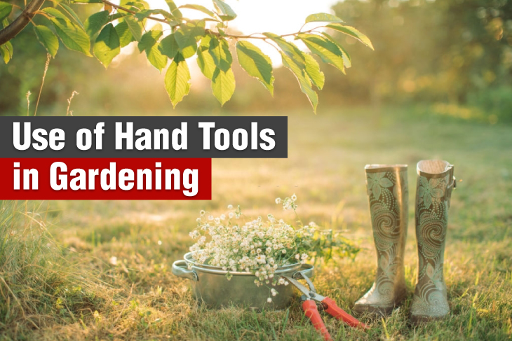 Use of hand tools in gardening