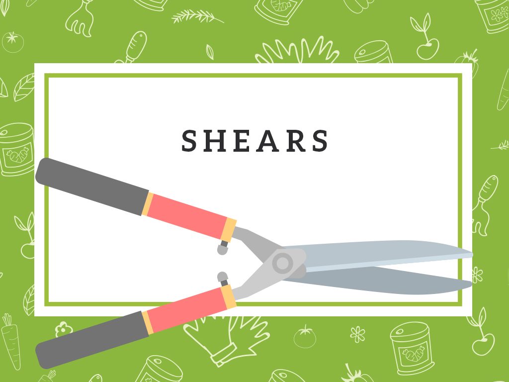 shears gardening tool