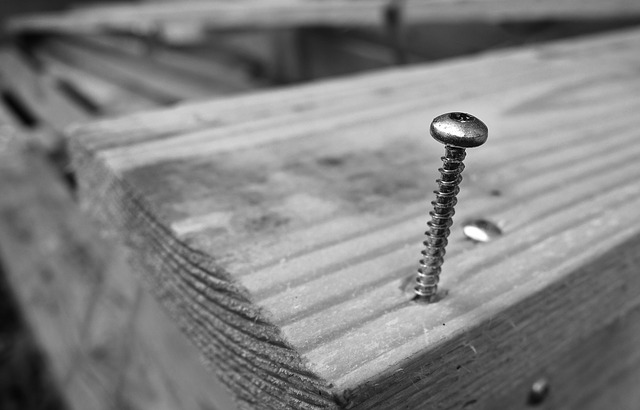 Types of Tamper Proof Screws