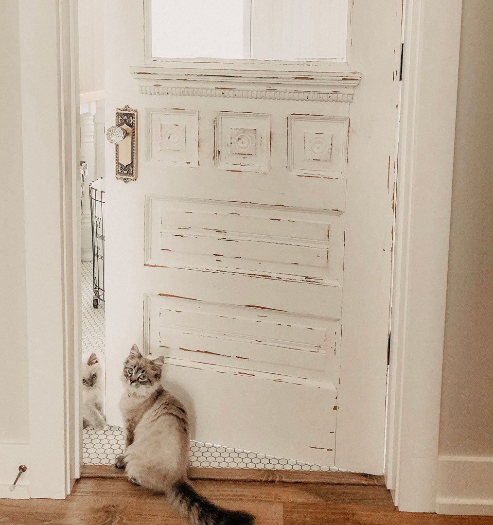 kittens and door hardware farmhouse style shabby chic