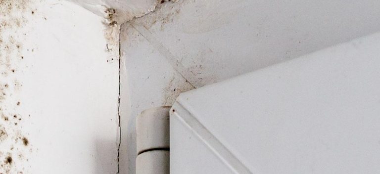 How Dangerous is Damp? – Blog